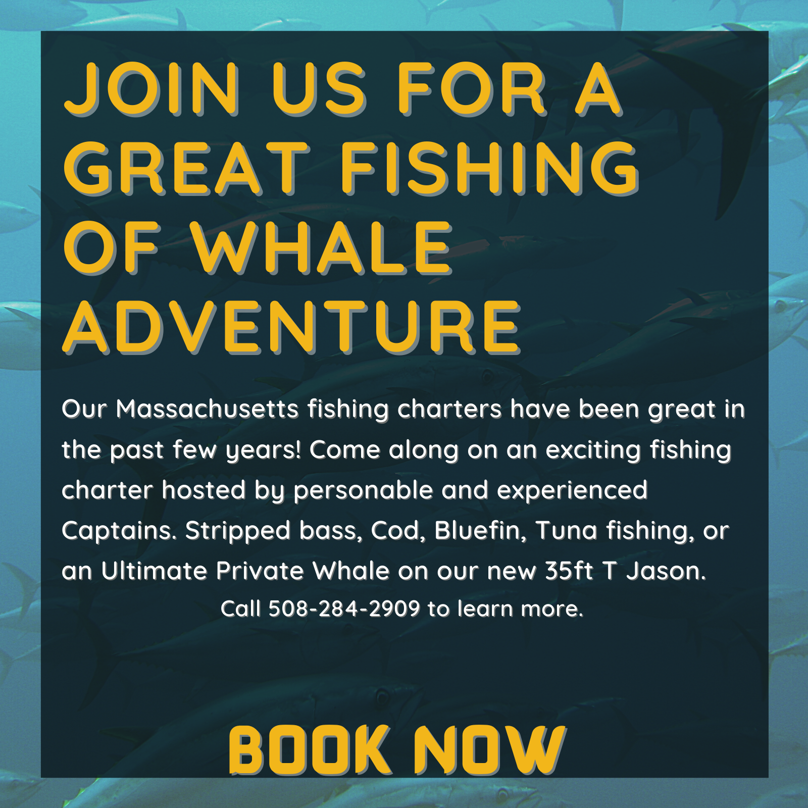 Our Massachusetts fishing charters have been great in the past few years! Come along on an exciting fishing charter hosted by personable and experienced Captains. Stripped bass, Cod, Bluefin, Tuna fishing, or an Ultimate Private Whale on our new 35ft T Jason.
Call 508-284-2909 to learn more. 
