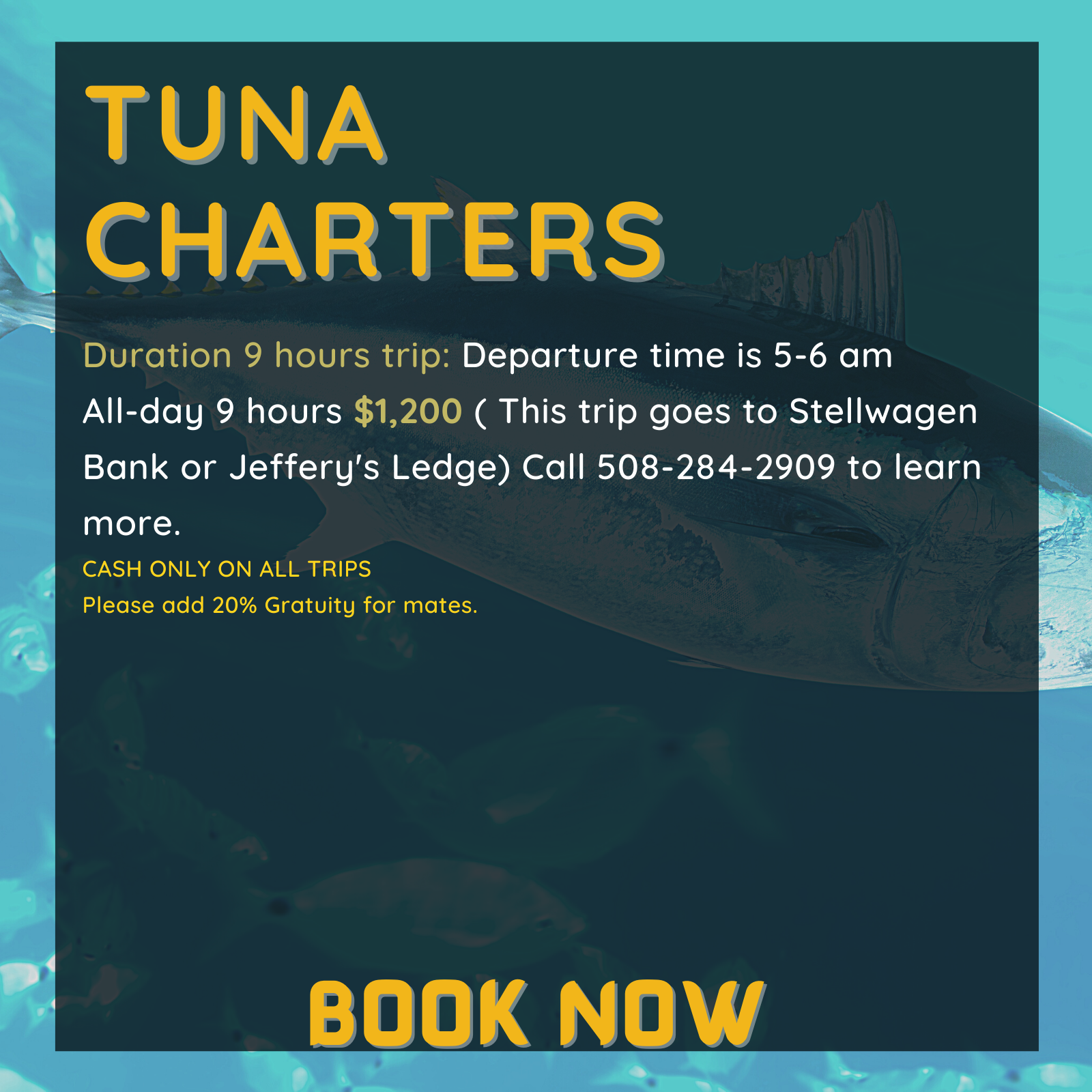 Duration 9 hours trip: Departure time is 5-6 am
All-day 9 hours $1,200 ( This trip goes to Stellwagen Bank or Jeffery's Ledge) Call 508-284-2909 to learn more.
CASH ONLY ON ALL TRIPS
Please add 20% Gratuity for mates.