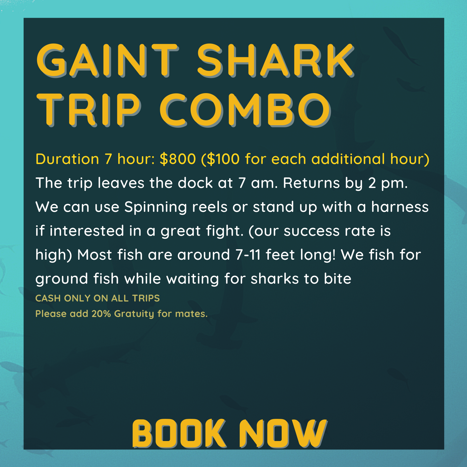 Duration 7 hour: $800 ($100 for each additional hour)
The trip leaves the dock at 7 am. Returns by 2 pm. 
We can use Spinning reels or stand up with a harness if interested in a great fight. (our success rate is high) Most fish are around 7-11 feet long! We fish for ground fish while waiting for sharks to bite
CASH ONLY ON ALL TRIPS
Please add 20% Gratuity for mates.