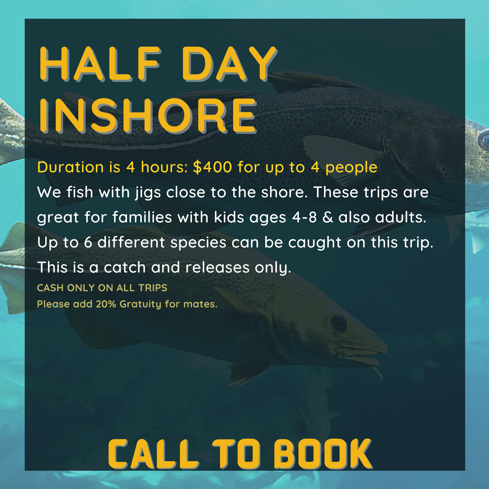 Duration is 4 hours: $400 for up to 4 people
We fish with jigs close to the shore. These trips are great for families with kids ages 4-8 & also adults. Up to 6 different species can be caught on this trip. This is a catch and releases only. 
CASH ONLY ON ALL TRIPS
Please add 20% Gratuity for mates.