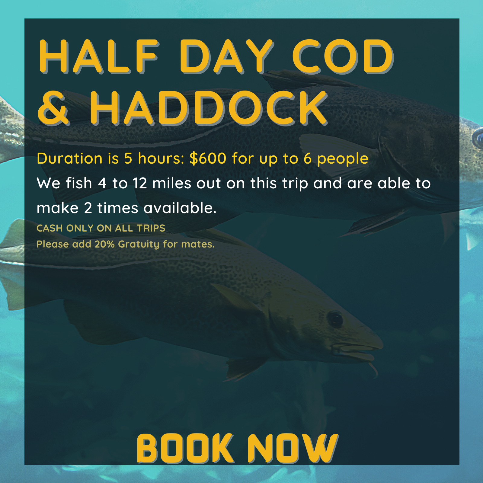 Duration is 5 hours: $600 for up to 6 people
We fish 4 to 12 miles out on this trip and are able to make 2 times available.
CASH ONLY ON ALL TRIPS
Please add 20% Gratuity for mates.
